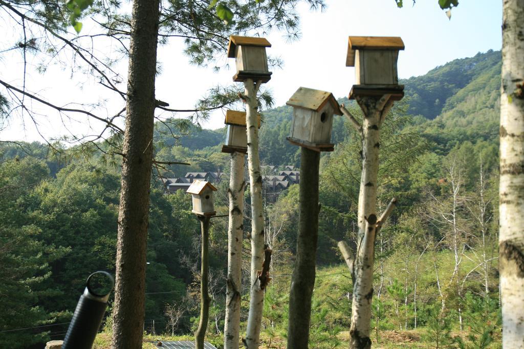 Secret Pension Pyeongchang Luaran gambar